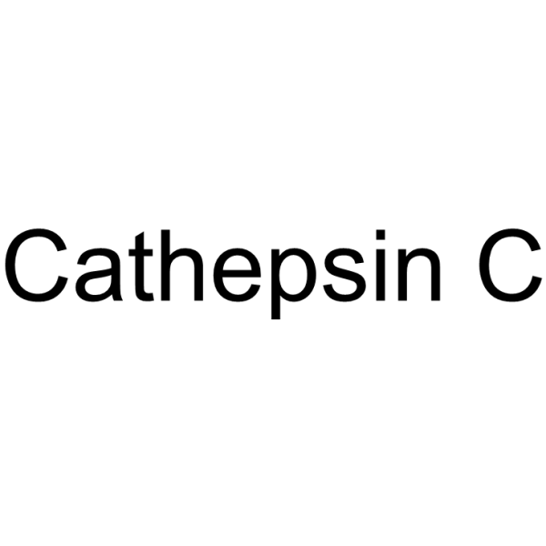 Cathepsin C 9032-68-2